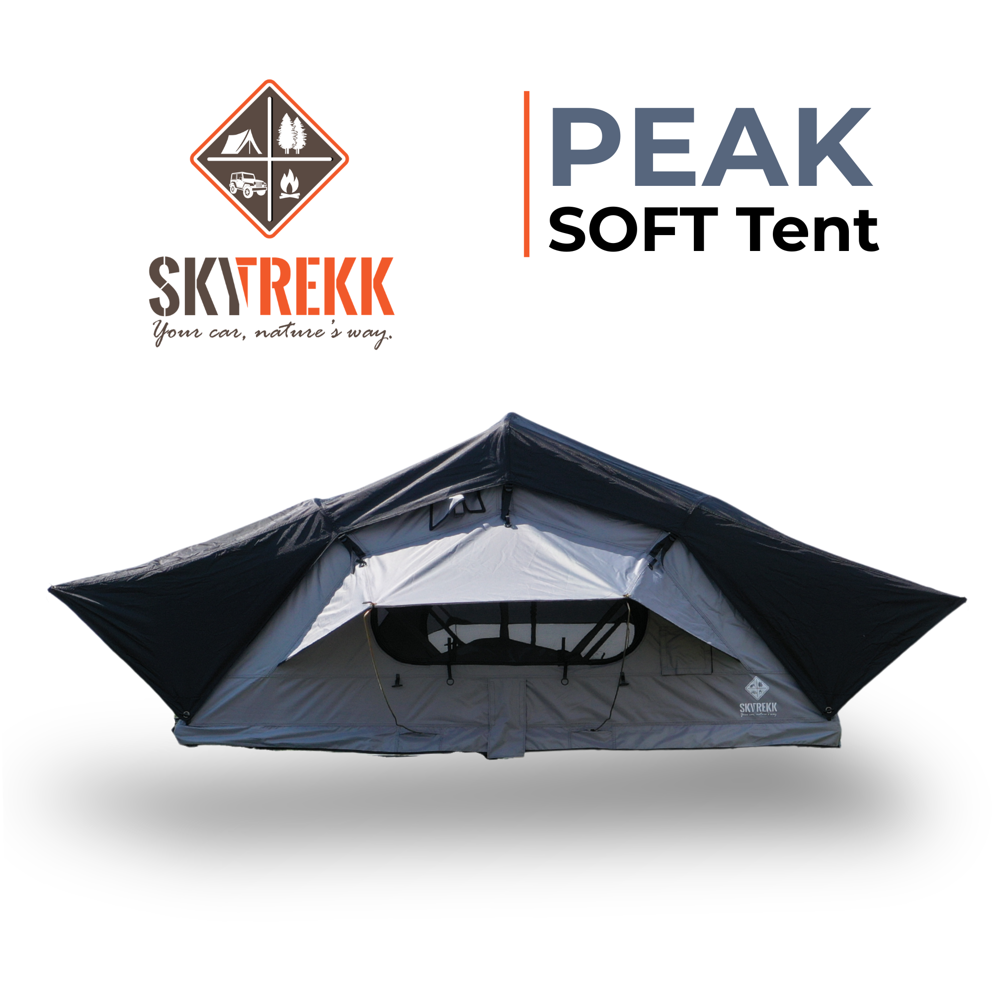 Cort auto Peak